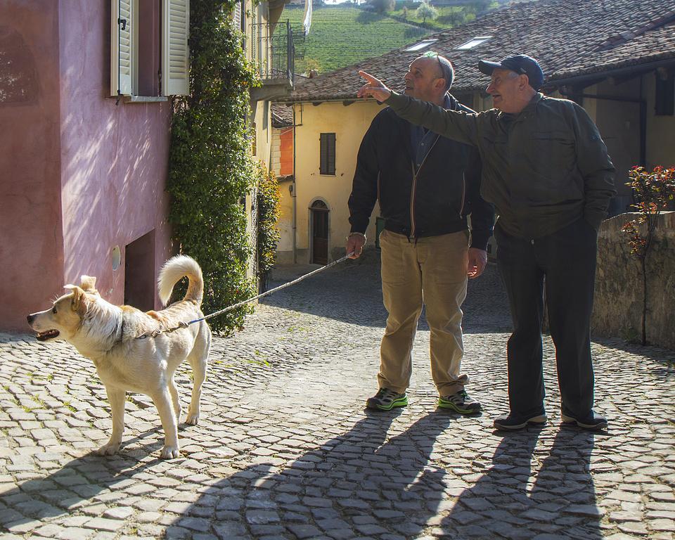 Hotel Dimora I Manichei Monforte dʼAlba Zewnętrze zdjęcie